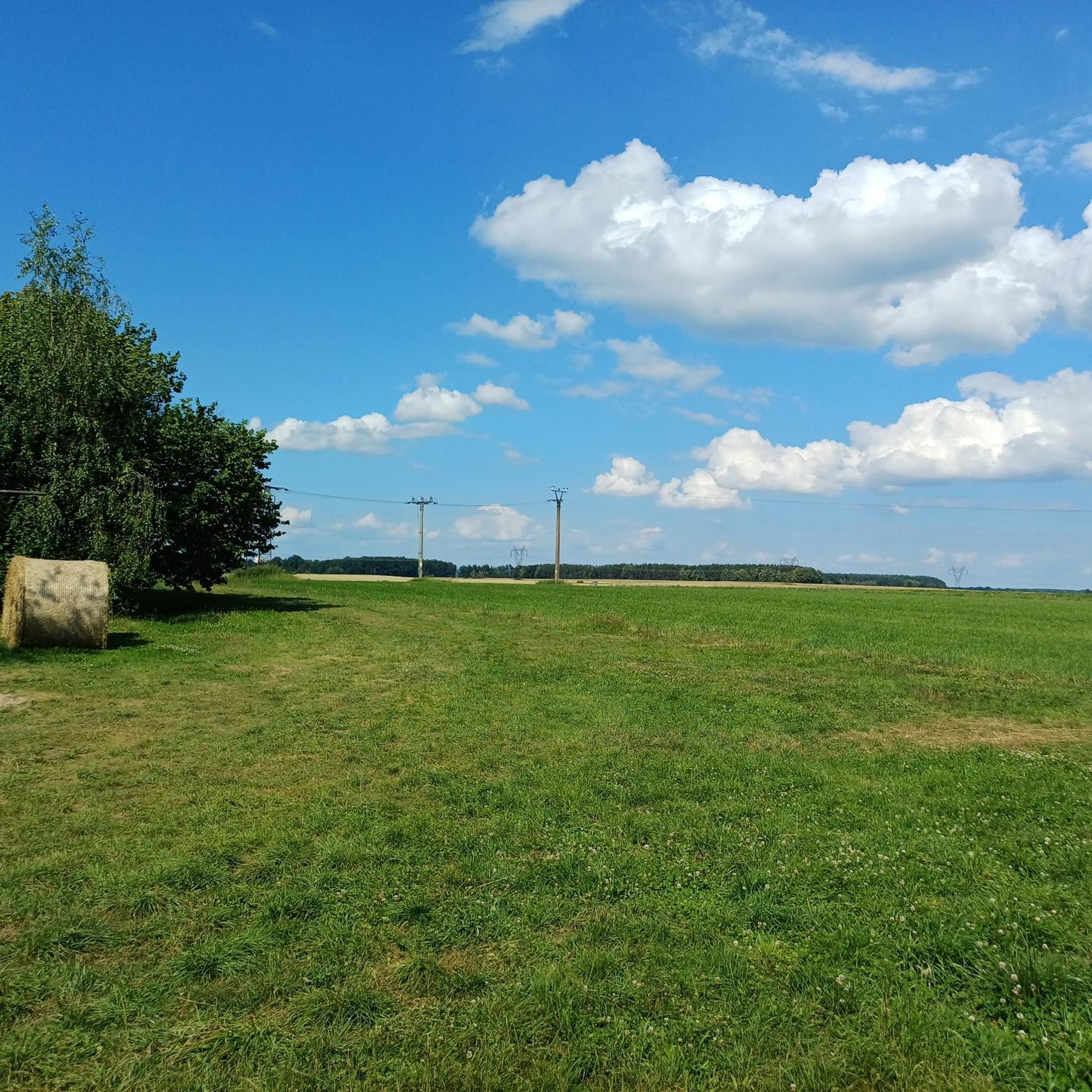 Statek U Spulaka Lägenhet Lomnice nad Lužnicí Exteriör bild